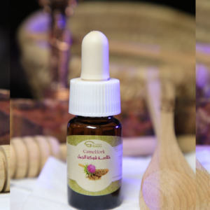 خلاصة شوكة الجمل